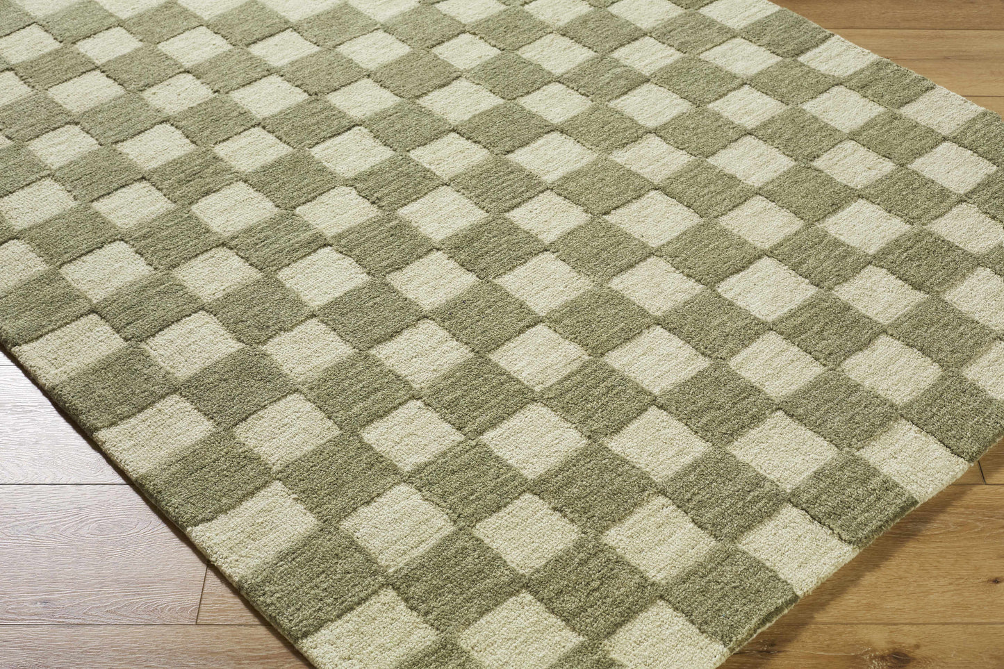 Amparo Area Rug-2
