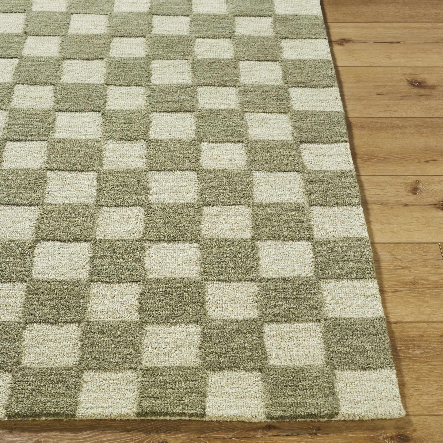 Amparo Area Rug-1