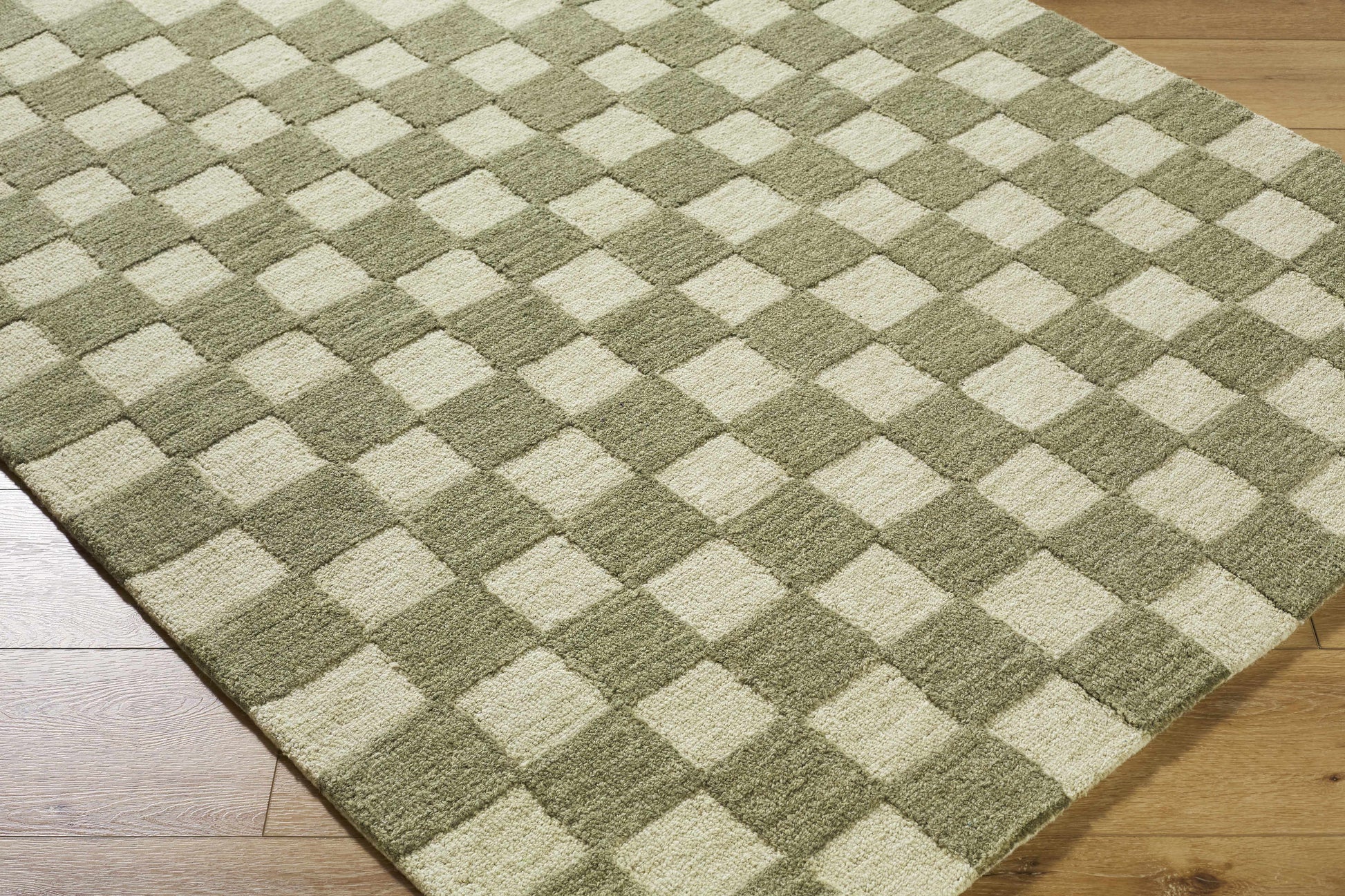 Amparo Area Rug-2